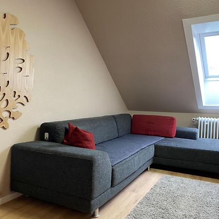 S-Villa Apartments Im Schwarzwald Schiltach Εξωτερικό φωτογραφία