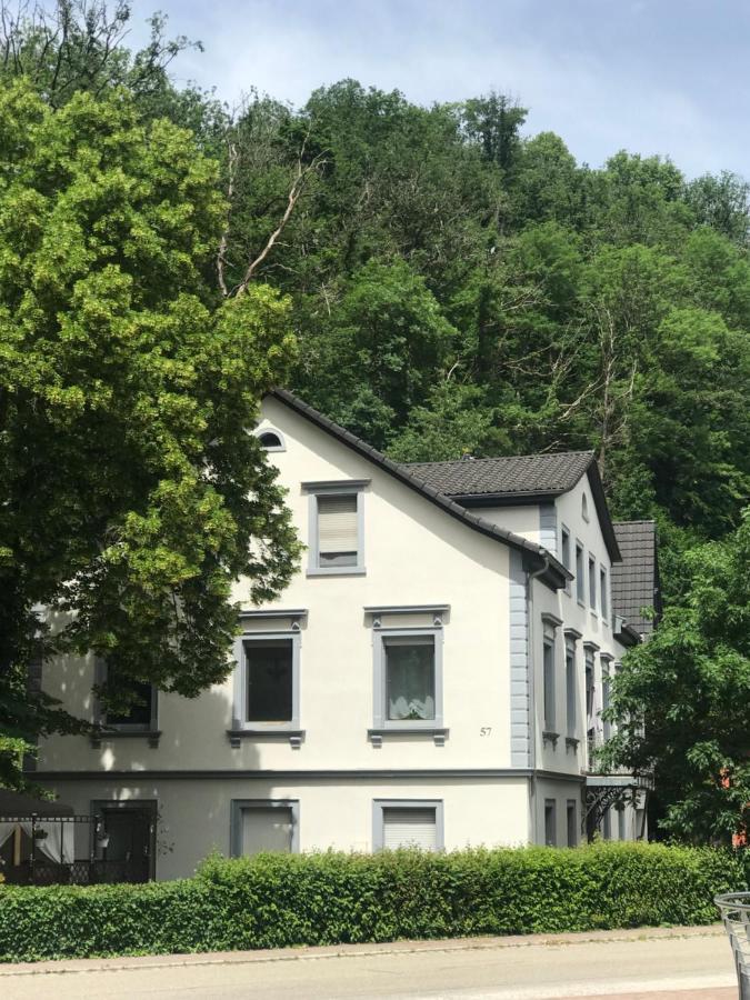 S-Villa Apartments Im Schwarzwald Schiltach Εξωτερικό φωτογραφία