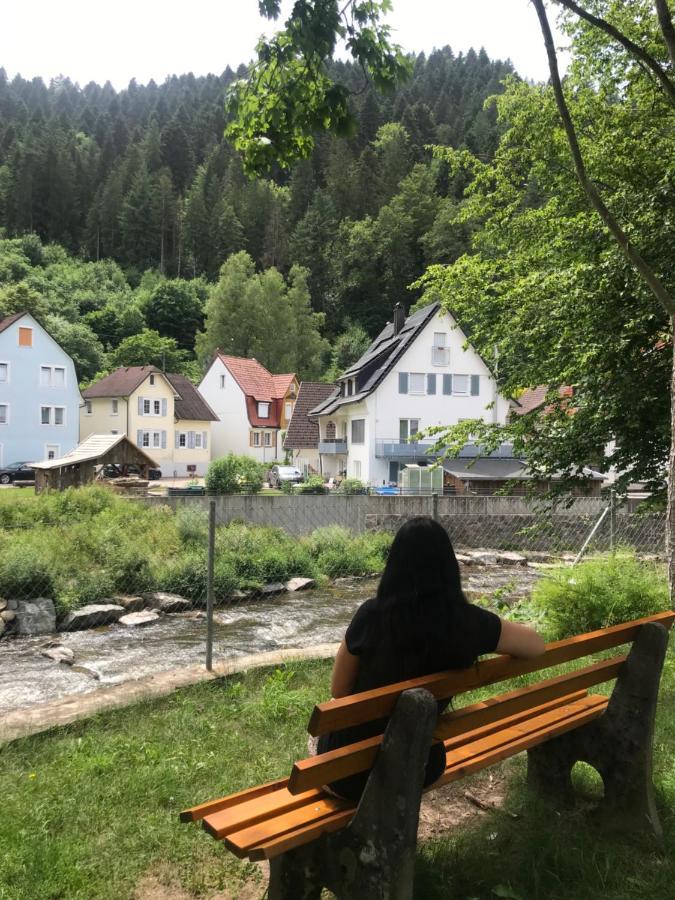 S-Villa Apartments Im Schwarzwald Schiltach Εξωτερικό φωτογραφία