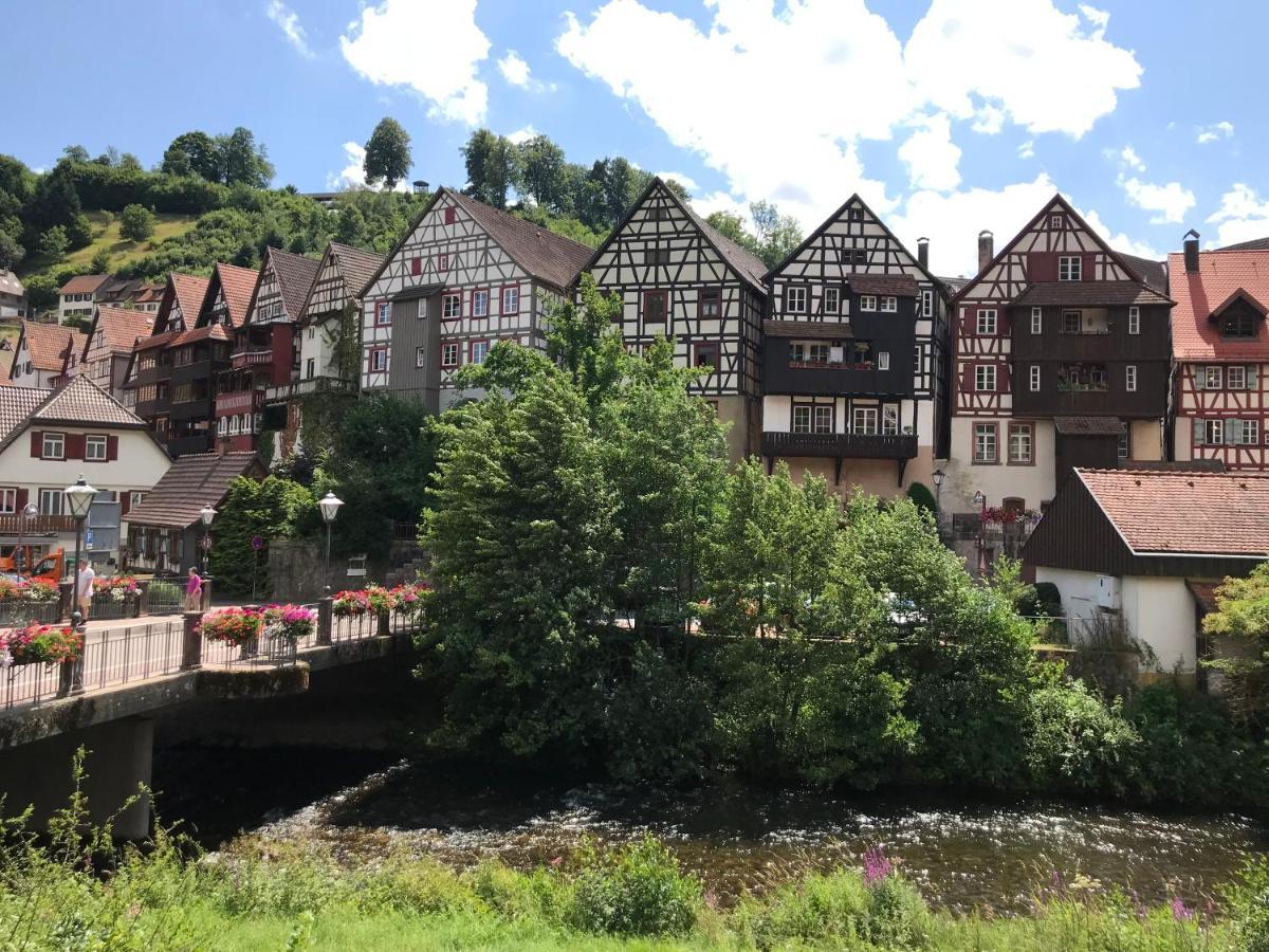 S-Villa Apartments Im Schwarzwald Schiltach Εξωτερικό φωτογραφία