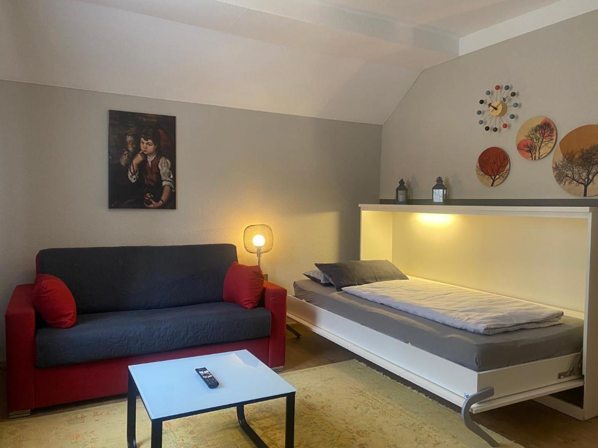 S-Villa Apartments Im Schwarzwald Schiltach Εξωτερικό φωτογραφία