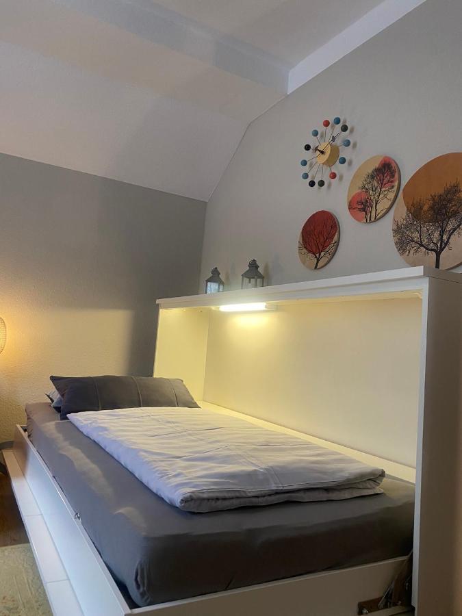 S-Villa Apartments Im Schwarzwald Schiltach Εξωτερικό φωτογραφία