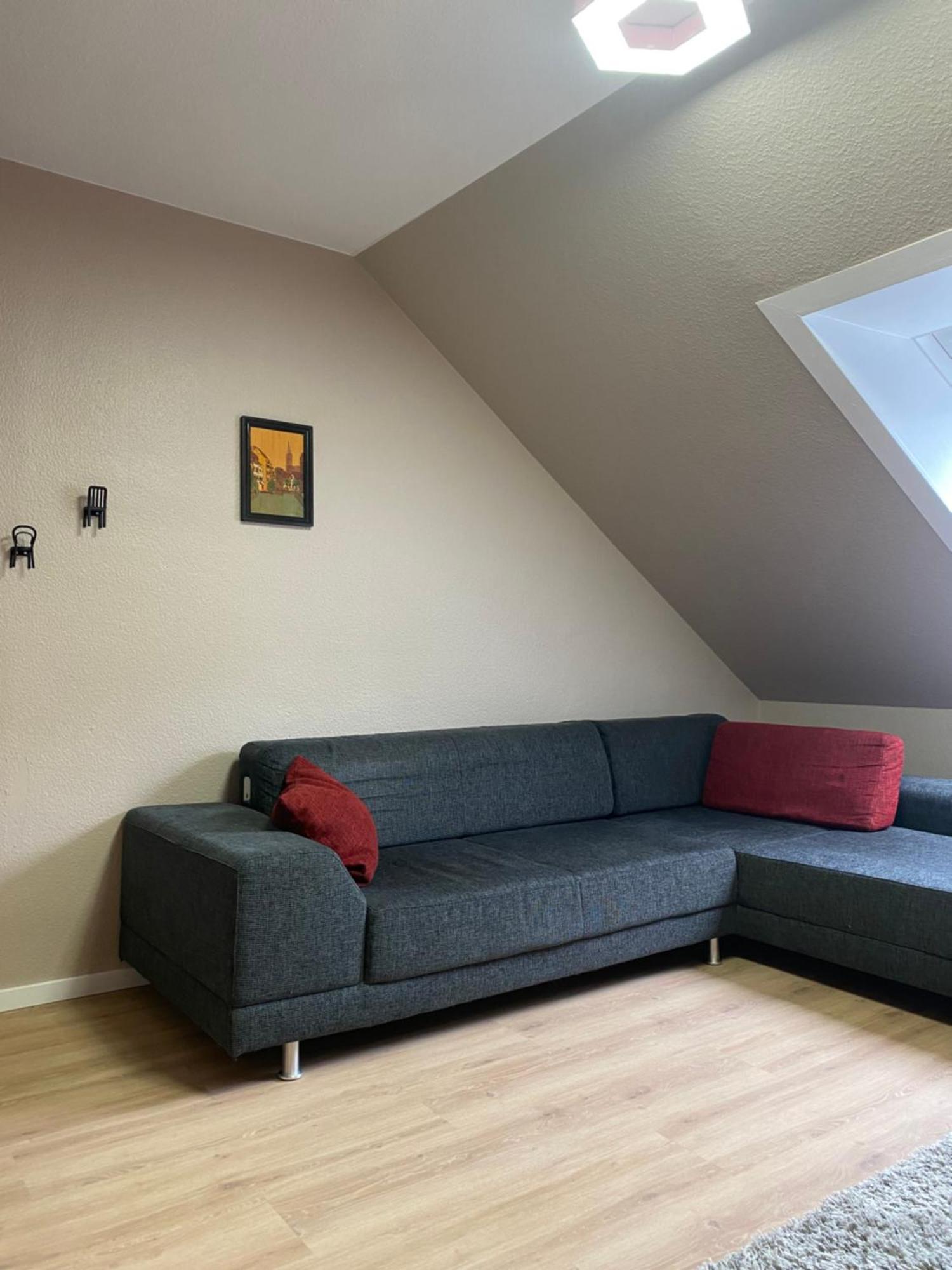 S-Villa Apartments Im Schwarzwald Schiltach Εξωτερικό φωτογραφία