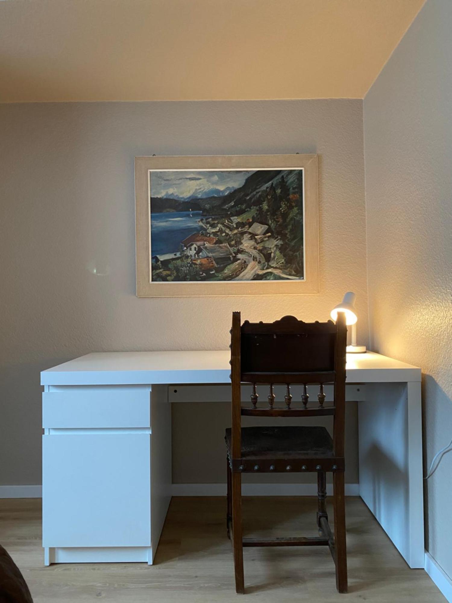 S-Villa Apartments Im Schwarzwald Schiltach Εξωτερικό φωτογραφία