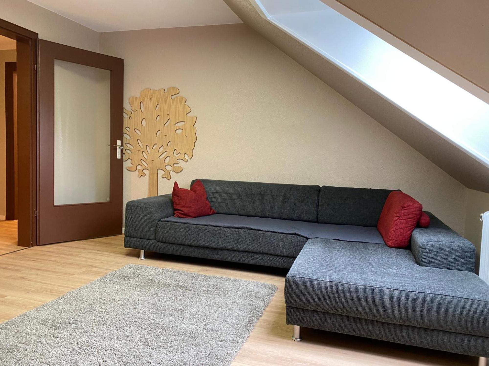 S-Villa Apartments Im Schwarzwald Schiltach Εξωτερικό φωτογραφία